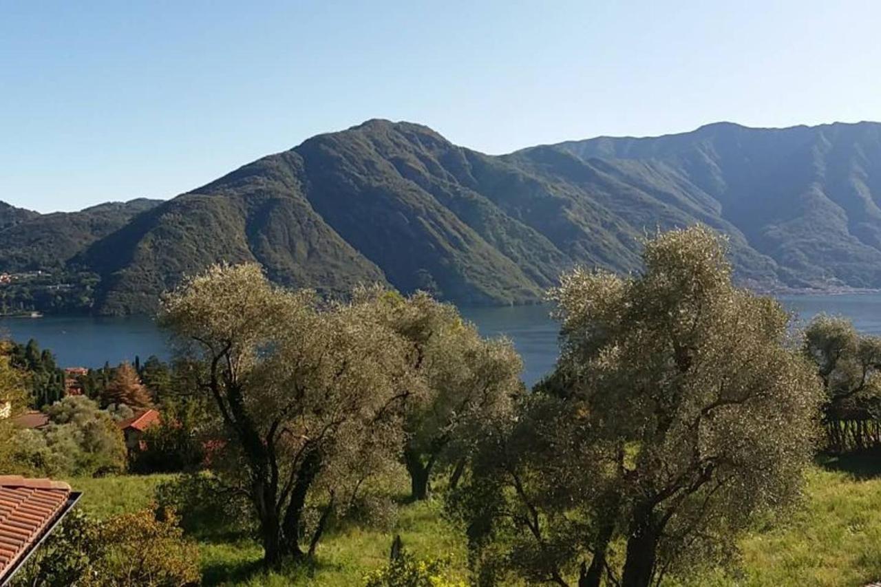 Casa Intignano - Camera Con Bagno E Portico Vista Lago Tremezzo Exteriör bild
